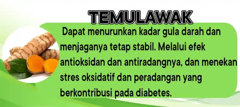 temulawak 1